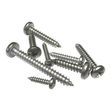 Self-tapping screws Posi-Pan 316 (A4) Stainless image #1
