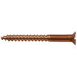 bronze screw